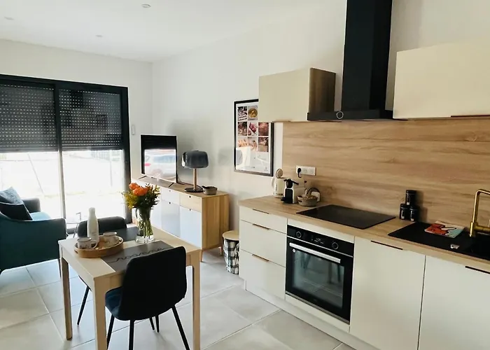 Appartement Centre De Roanne 38M2